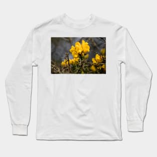 Yellow Gorse after a spring shower Long Sleeve T-Shirt